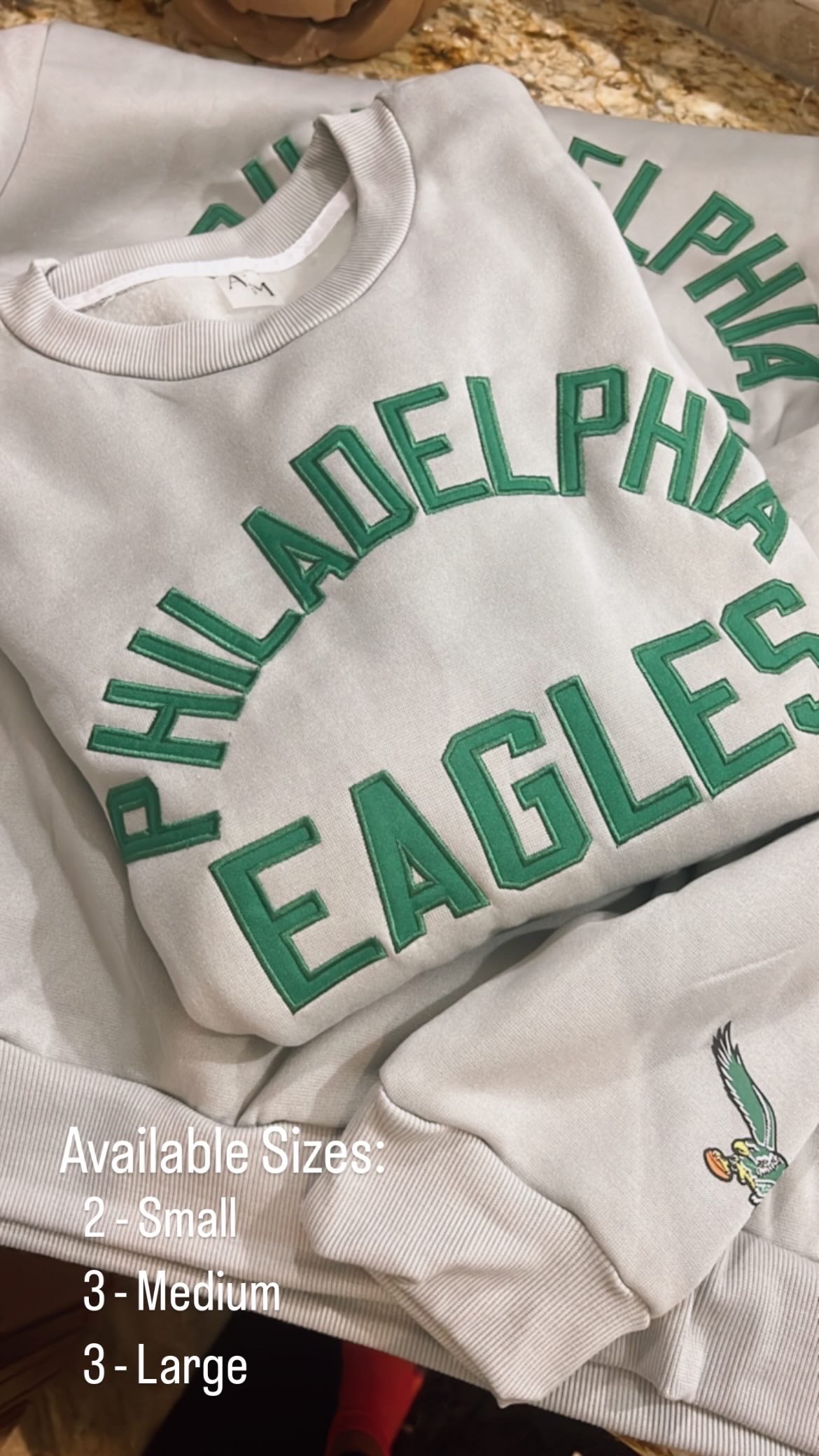 Retro Style Embroidered Eagles Crew